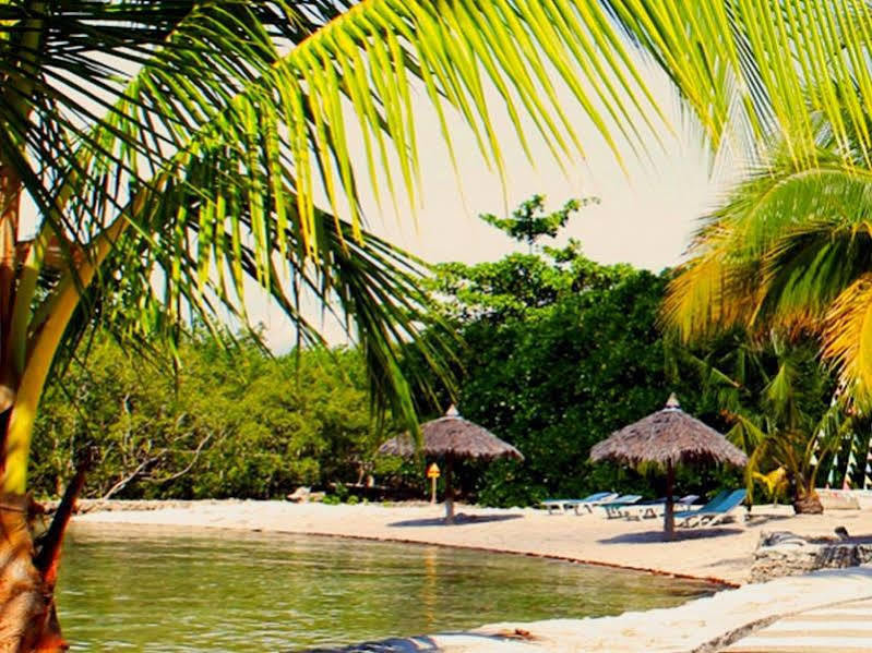 Whispering Palms Island Resort Bacolod Exteriör bild